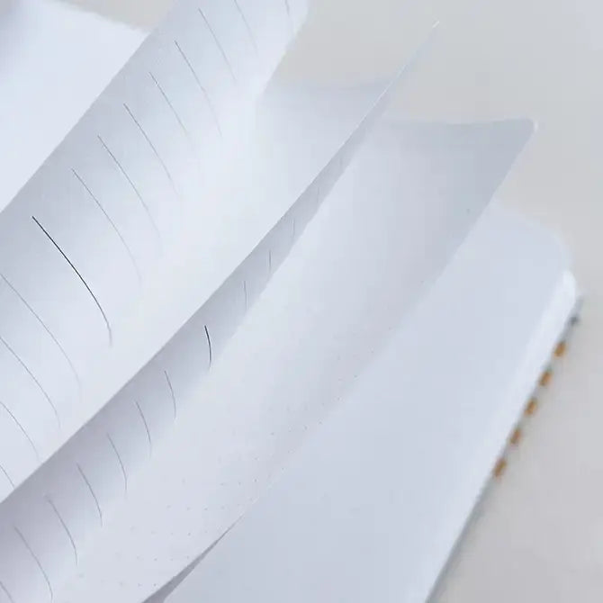 Focused Notebook - Harbor Arch