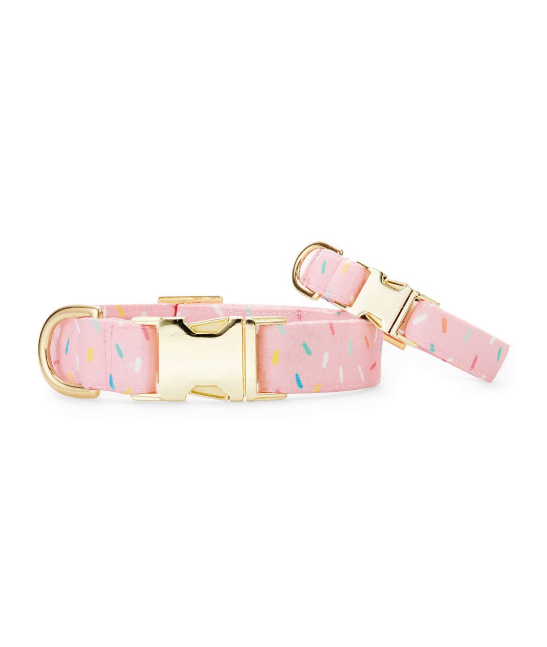 The Foggy Dog Sprinkles Collar