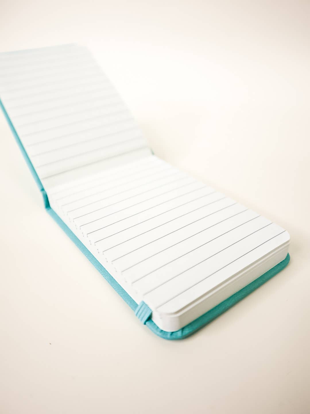 The Sh*t List - Leatherette Pocket Journal