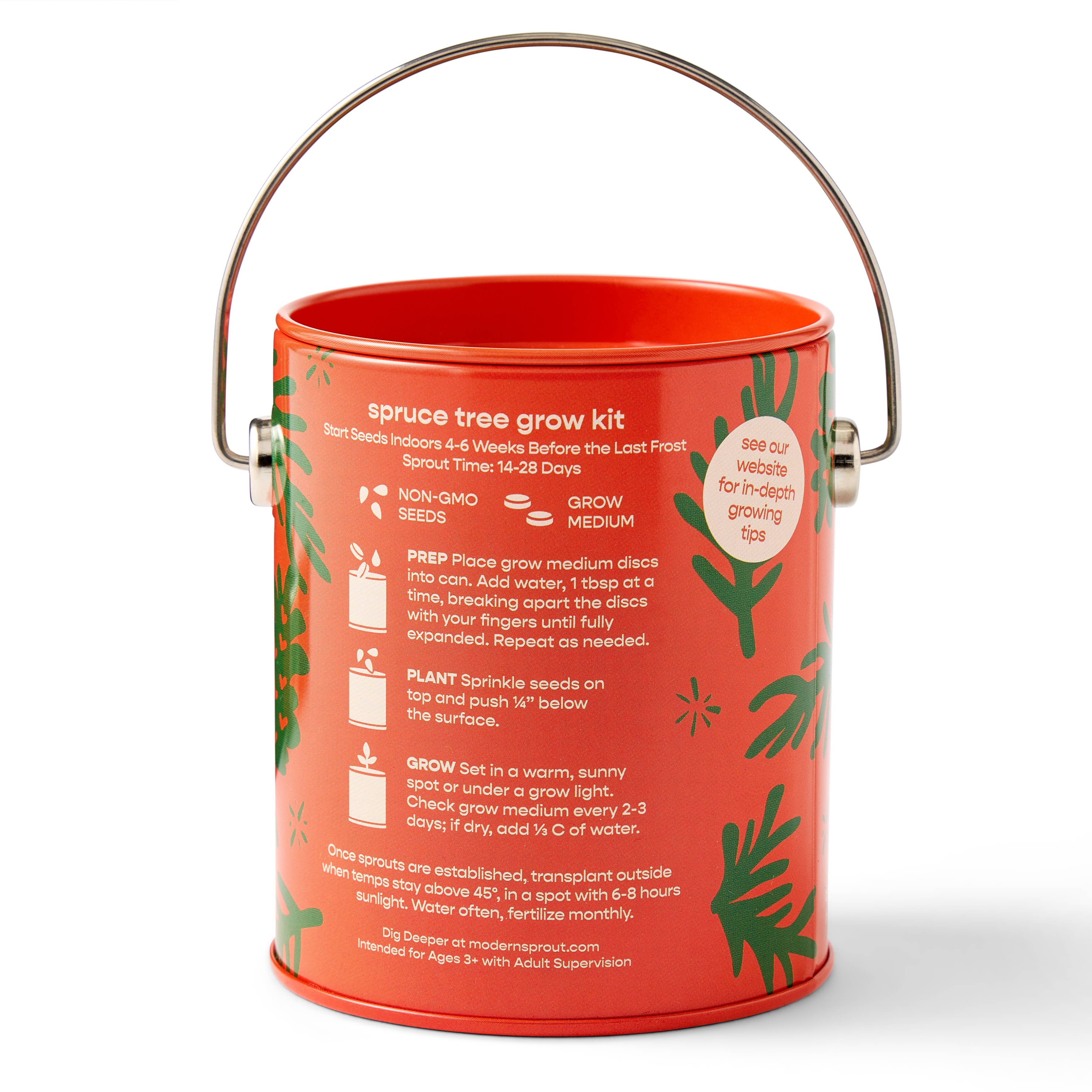 Holiday Spruce Grow Kit