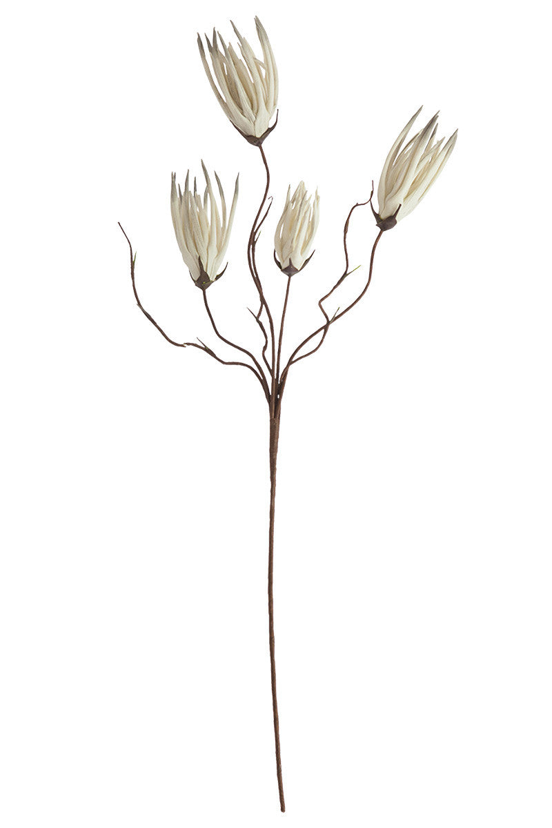 Botanica Stems