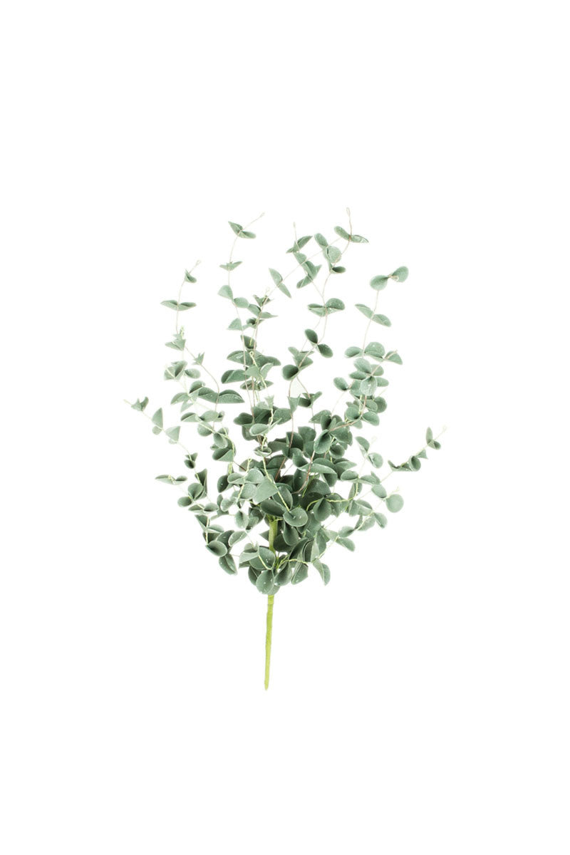 Botanica Stems