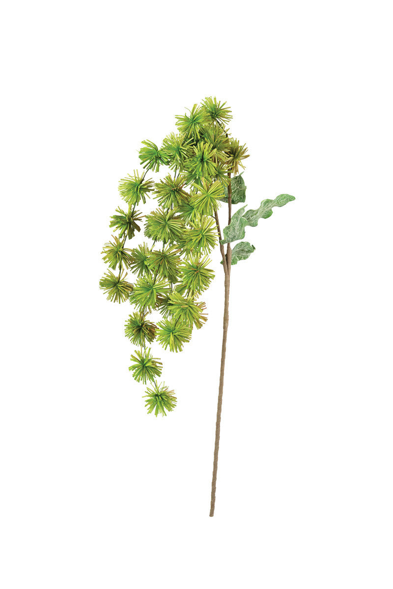 Botanica Stems