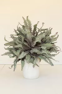 Botanica Stems