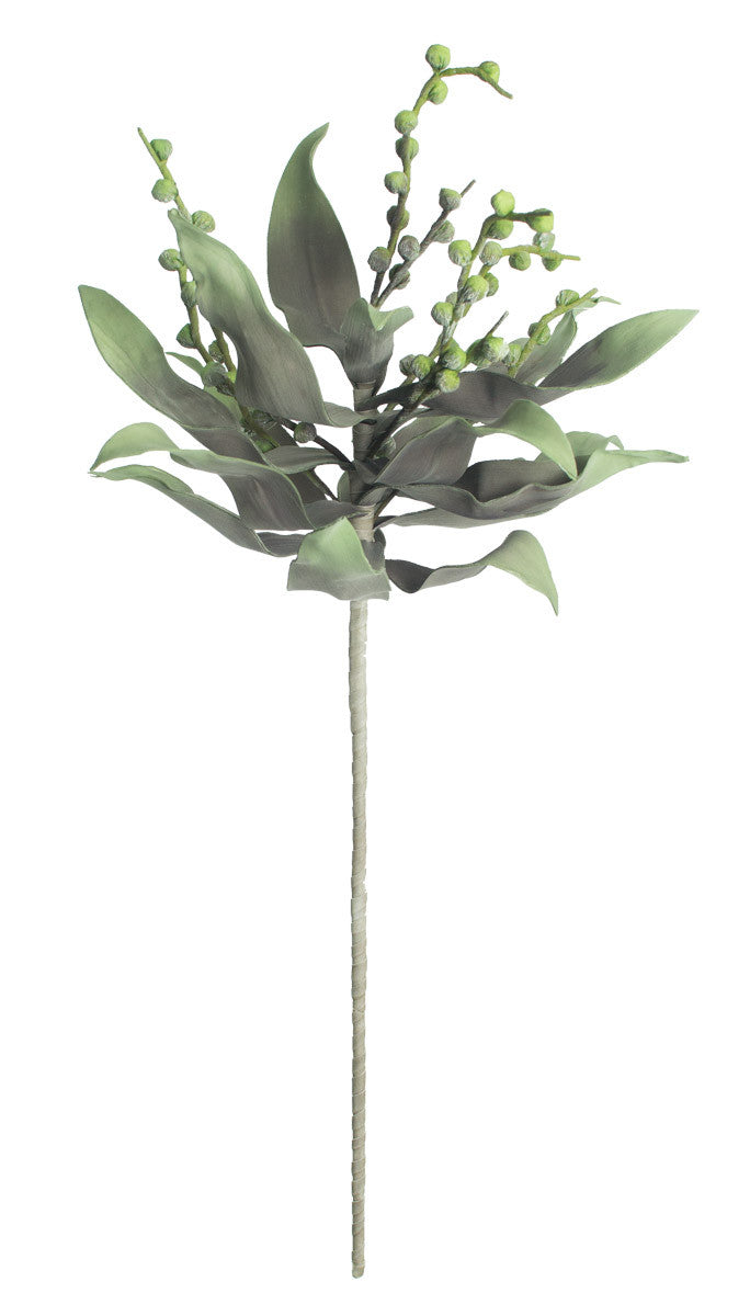 Botanica Stems