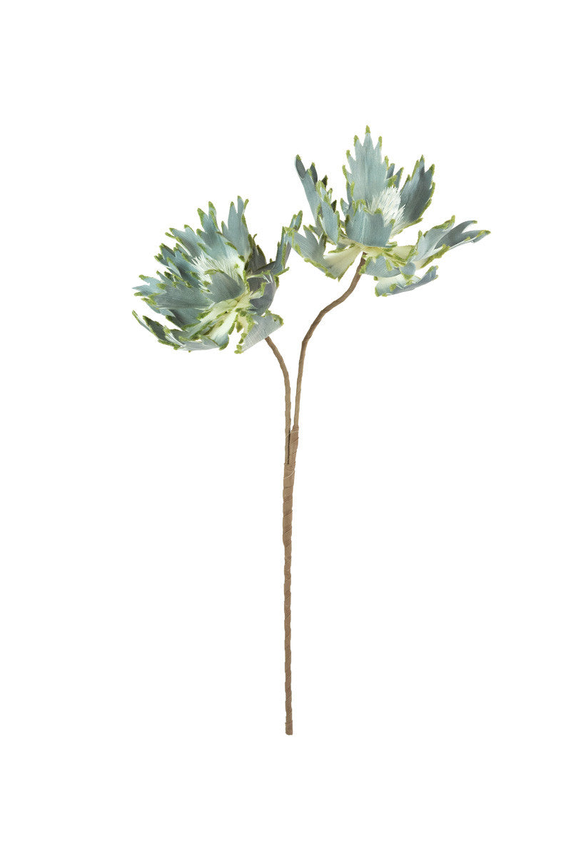Botanica Stems