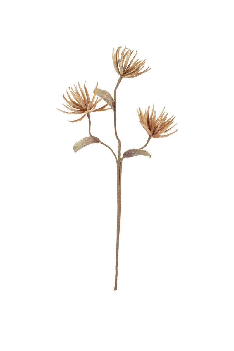 Botanica Stems