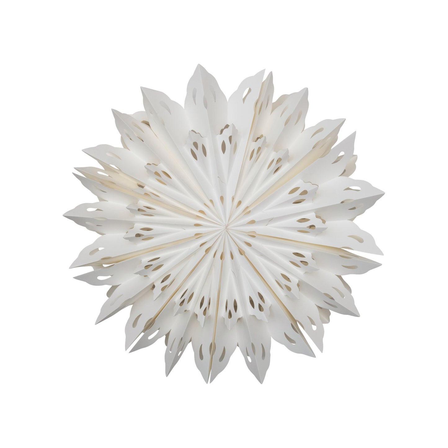 Huge Paper Snowflake