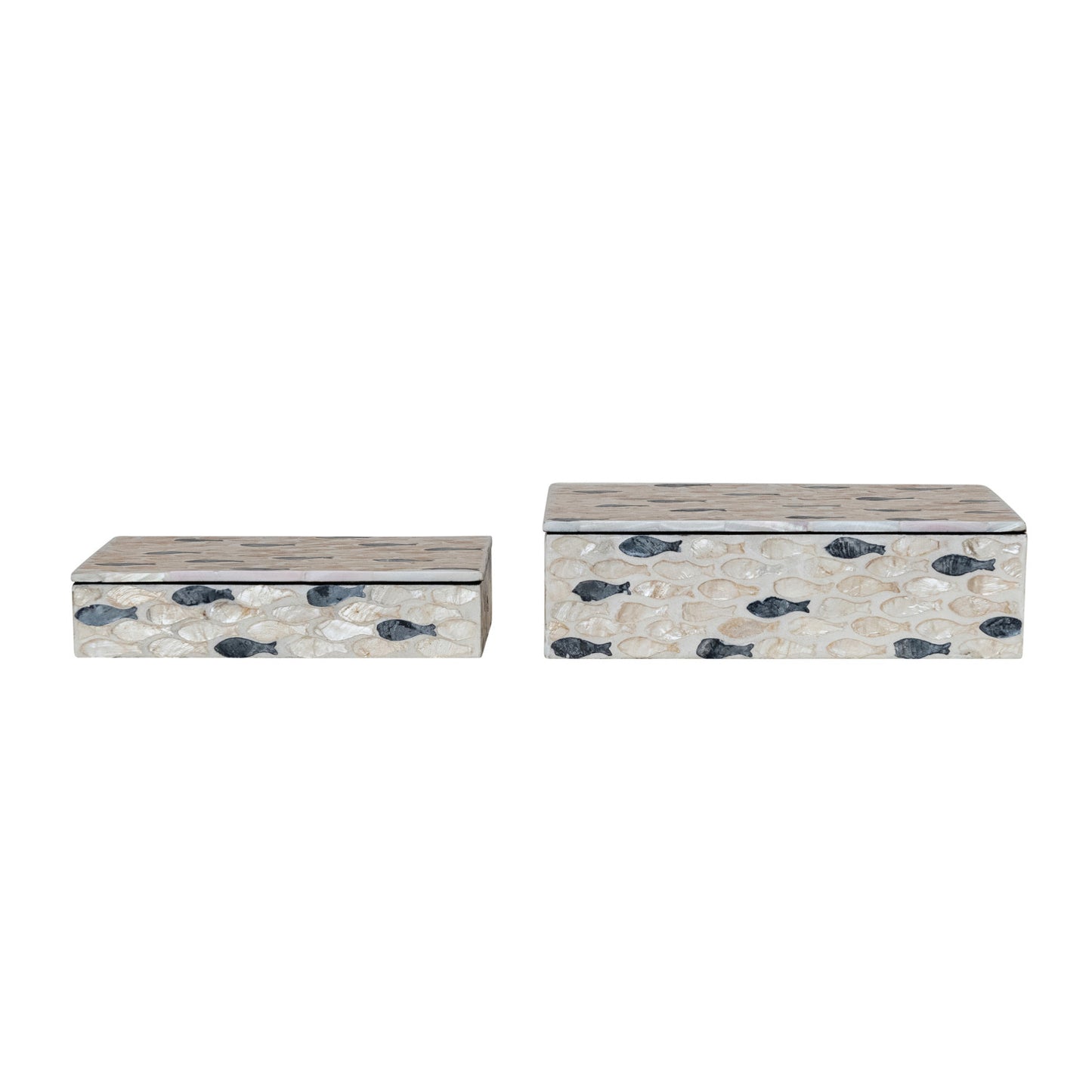 Capiz Shell Sardine Box