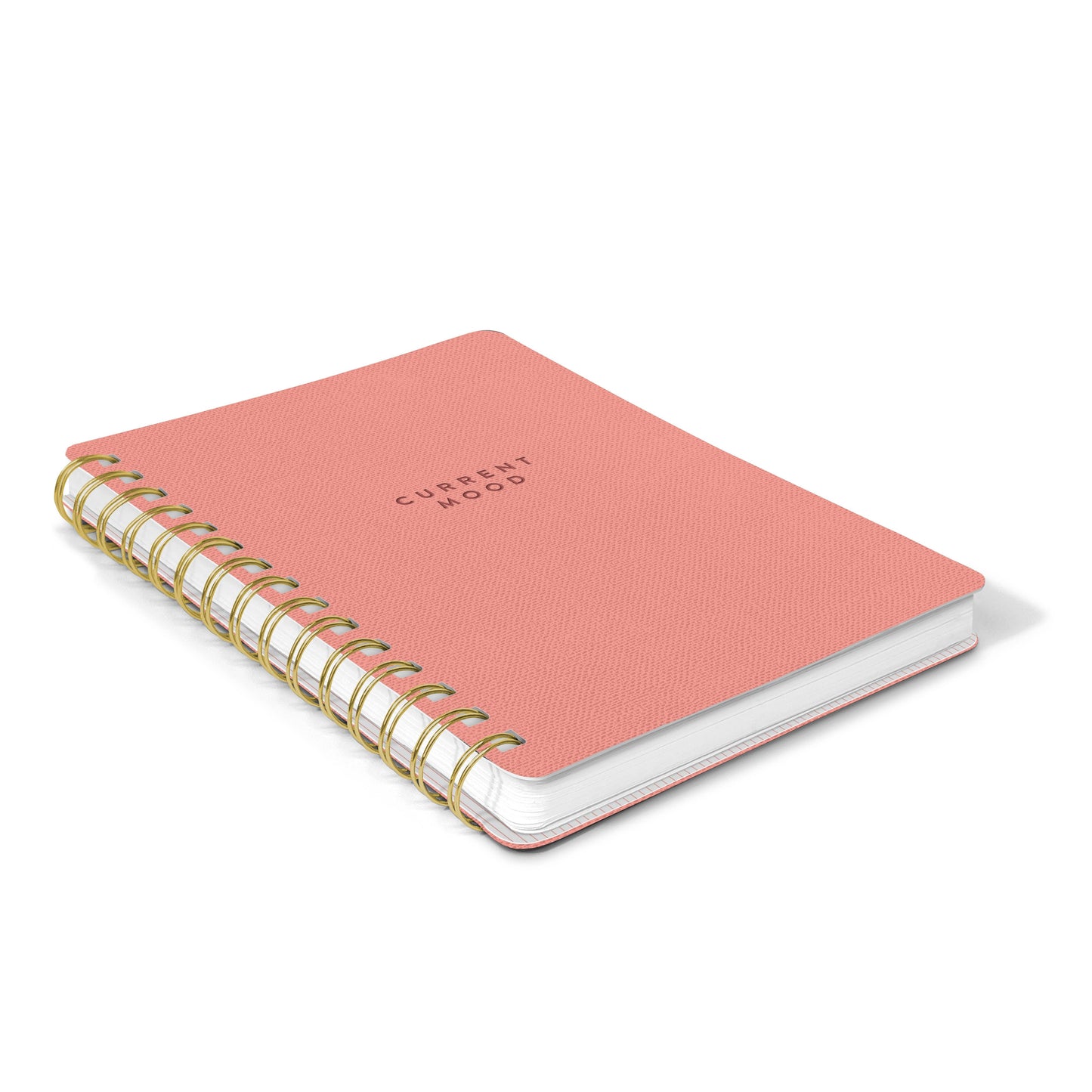 Current Mood Notebook