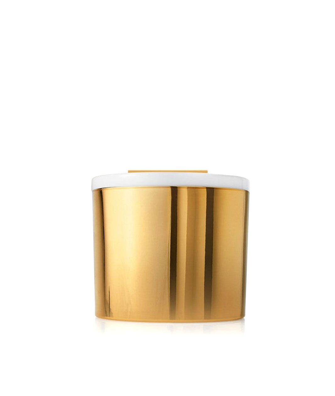 Thymes Frasier Fir Candle, 3-Wick Gold