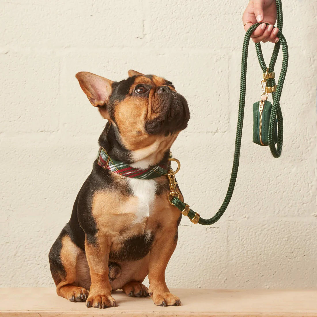The Foggy Dog Plaid Flannel Collar