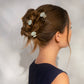 Clam Shell Hair Clip