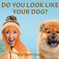 Do You Look Like Your Dog? Card Game