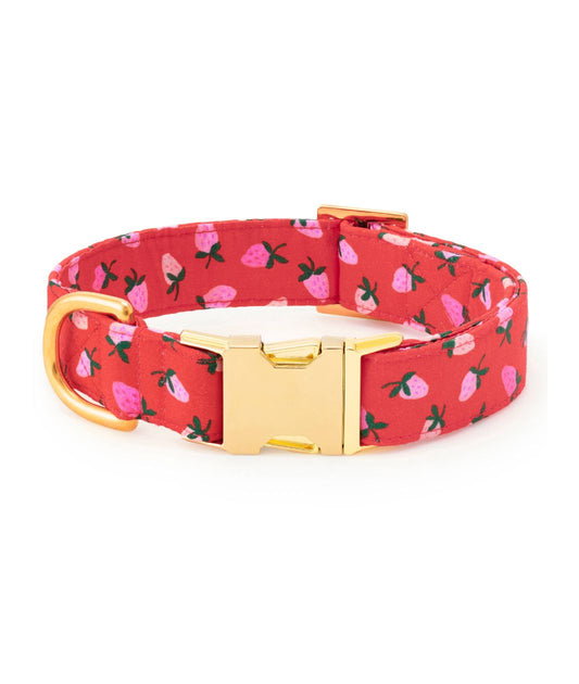 The Foggy Dog Berry Sweet Dog Collar