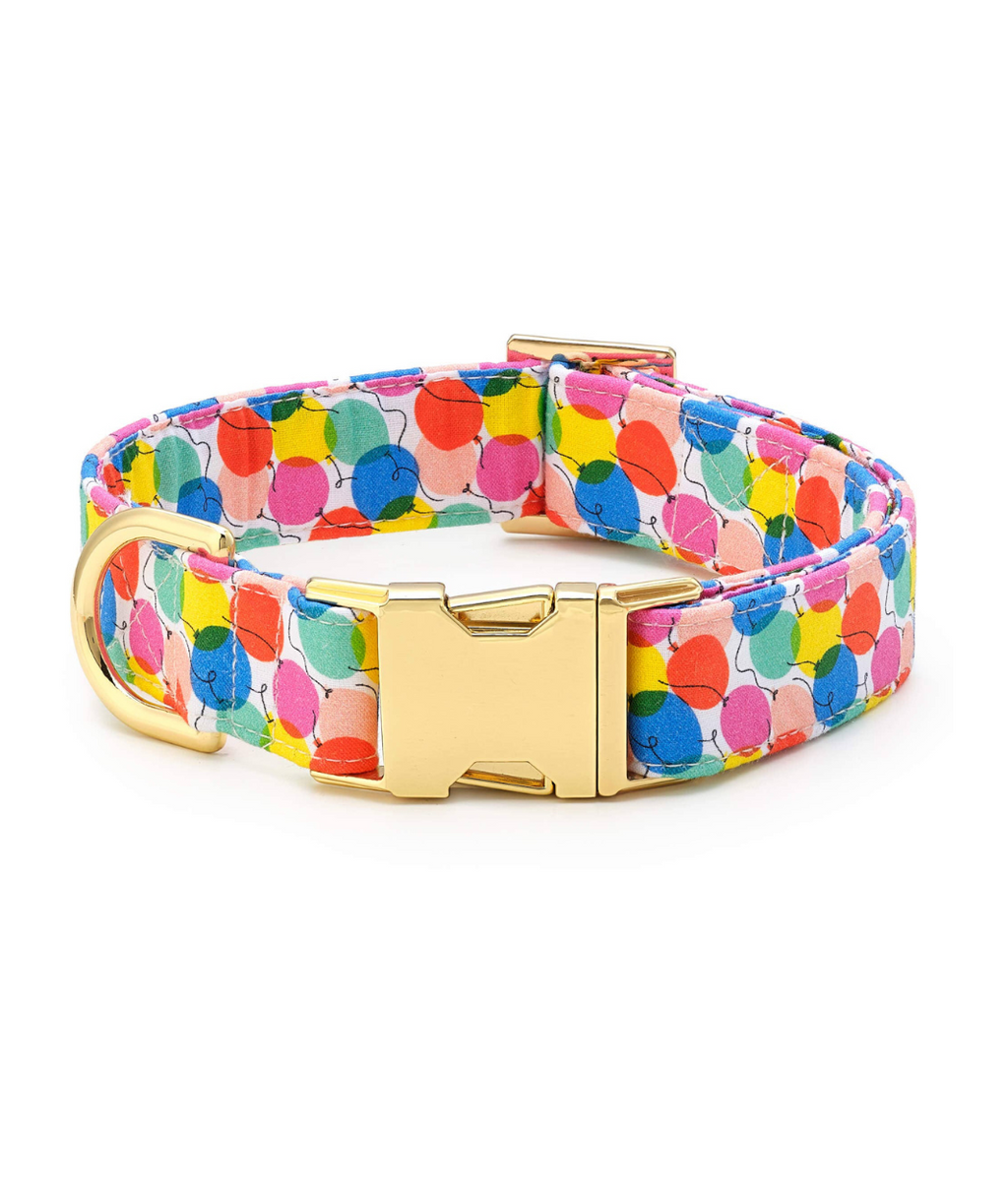 The Foggy Dog Birthday Balloon Collar
