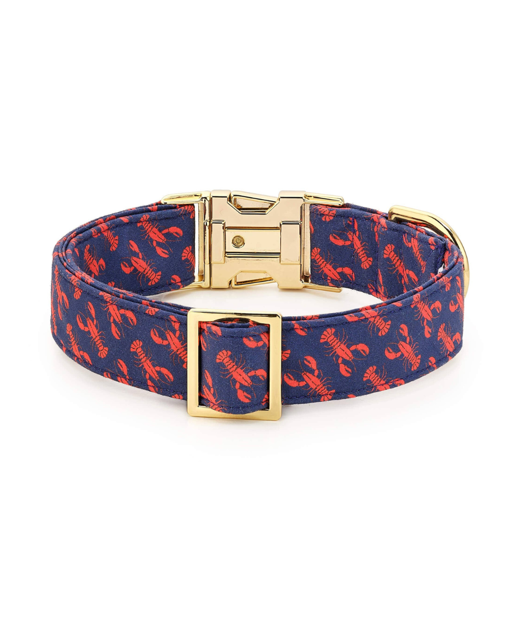 The Foggy Dog Catch of the Day Collar