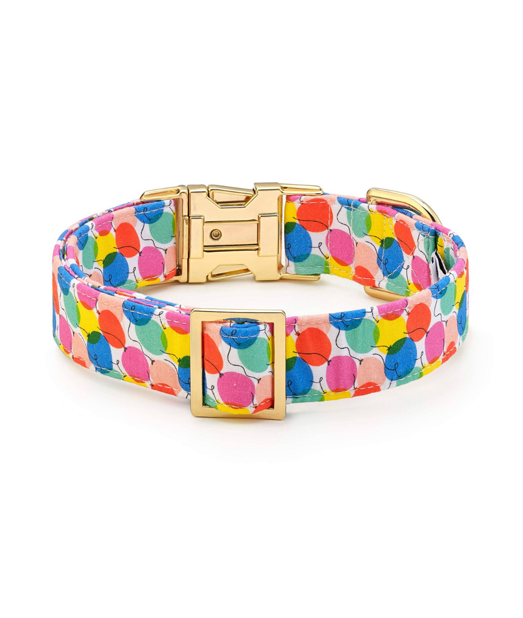 The Foggy Dog Birthday Balloon Collar