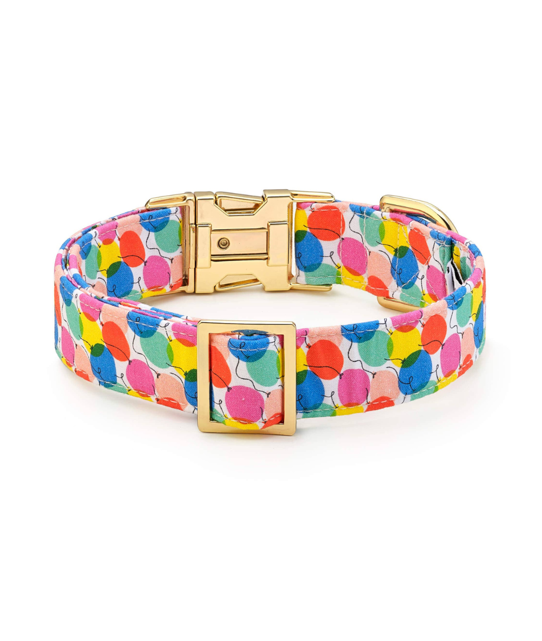 The Foggy Dog Birthday Balloon Collar