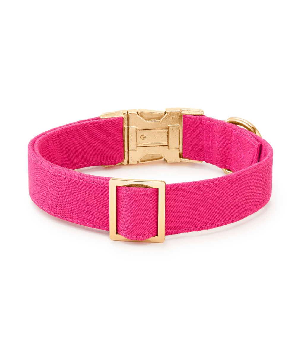 The Foggy Dog Hot Pink Collar