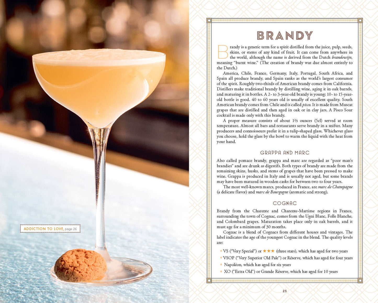 Complete Home Bartender's Guide Cocktail Book