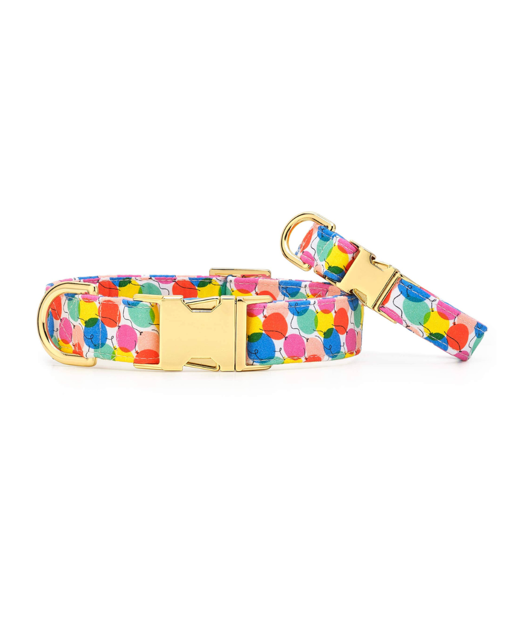 The Foggy Dog Birthday Dog Collar