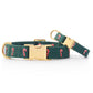 The Foggy Dog Evergreen Candy Canes Embroidered Dog Collar