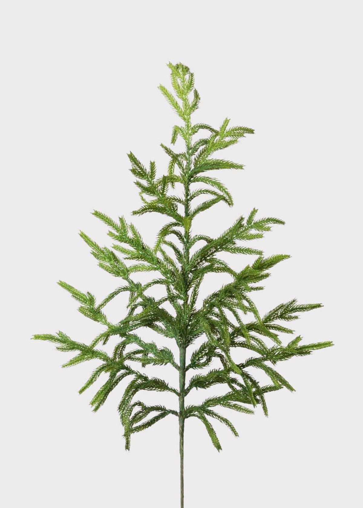 Afloral™ Real Touch Norfolk Pine Branch