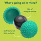 Odds Silicone Fidget Magnets