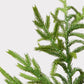 Afloral™ Real Touch Norfolk Pine Branch