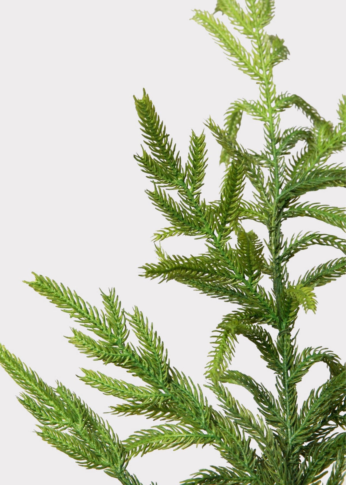 Afloral™ Real Touch Norfolk Pine Branch