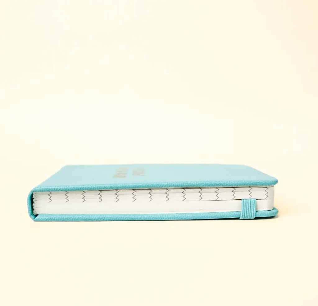 Sh*t I Don't Want to Forget - Pocket Journal