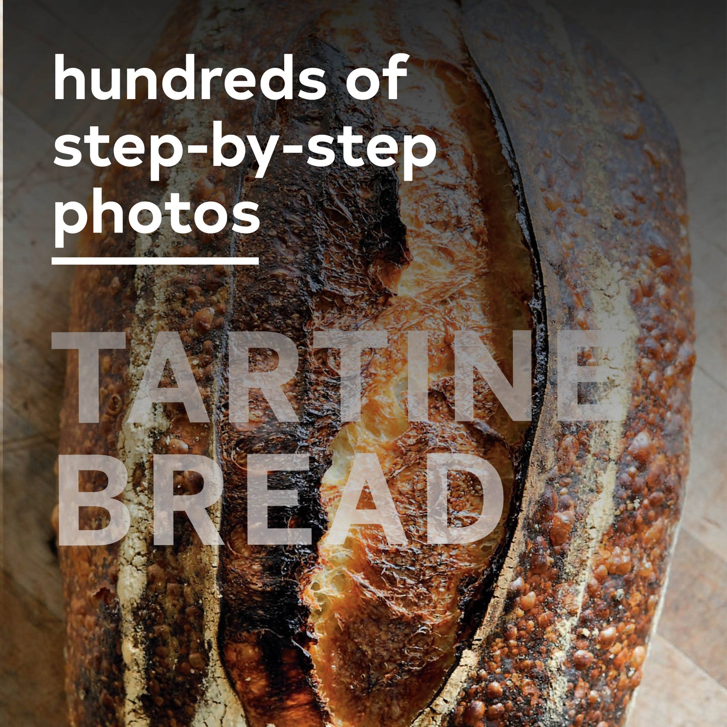 Tartine Bread