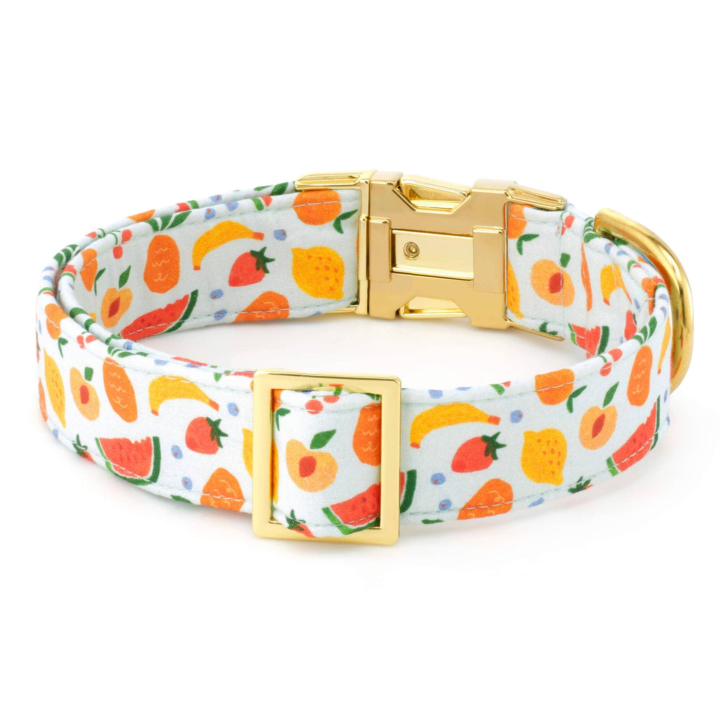 The Foggy Dog Fruit Salad Collar