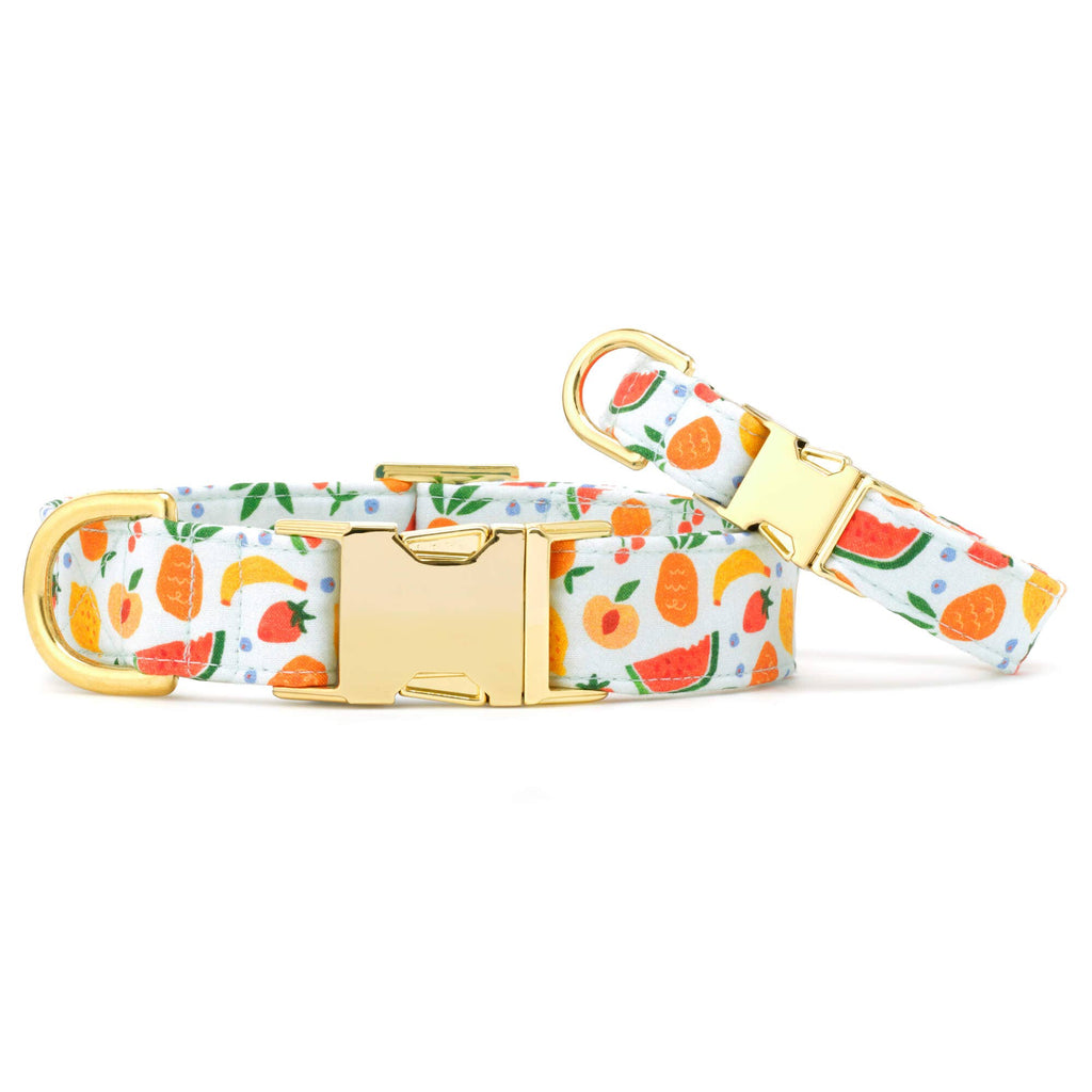 The Foggy Dog Fruit Salad Collar
