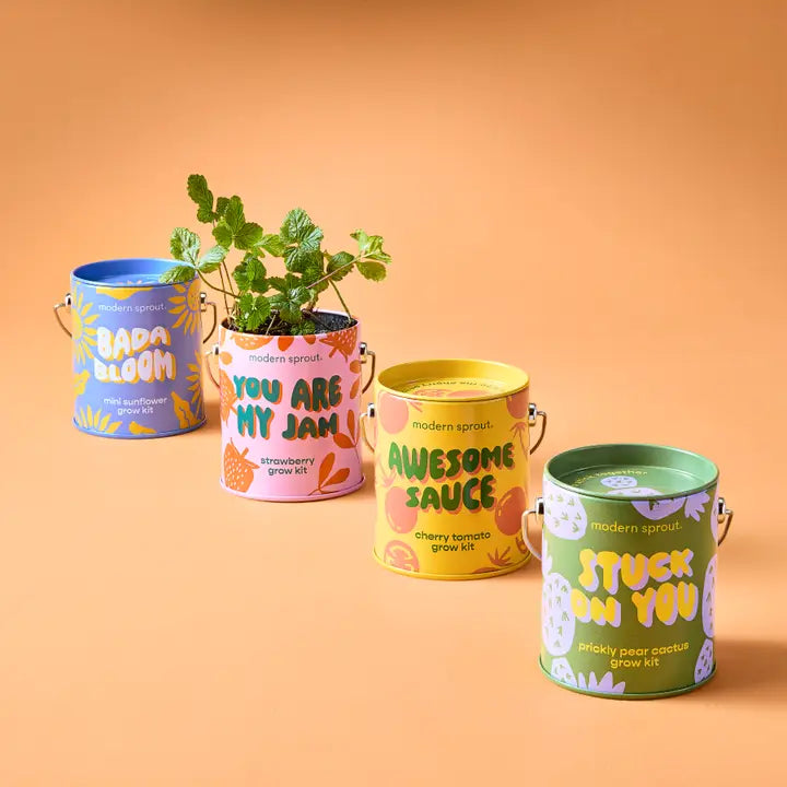 Strawberry Grow Kit