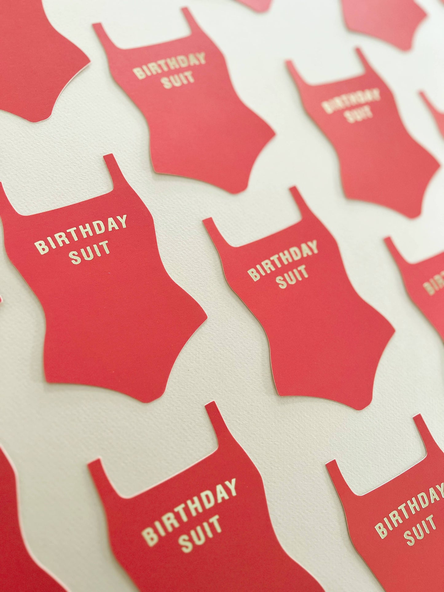 Birthday Suit Greeting Note Card