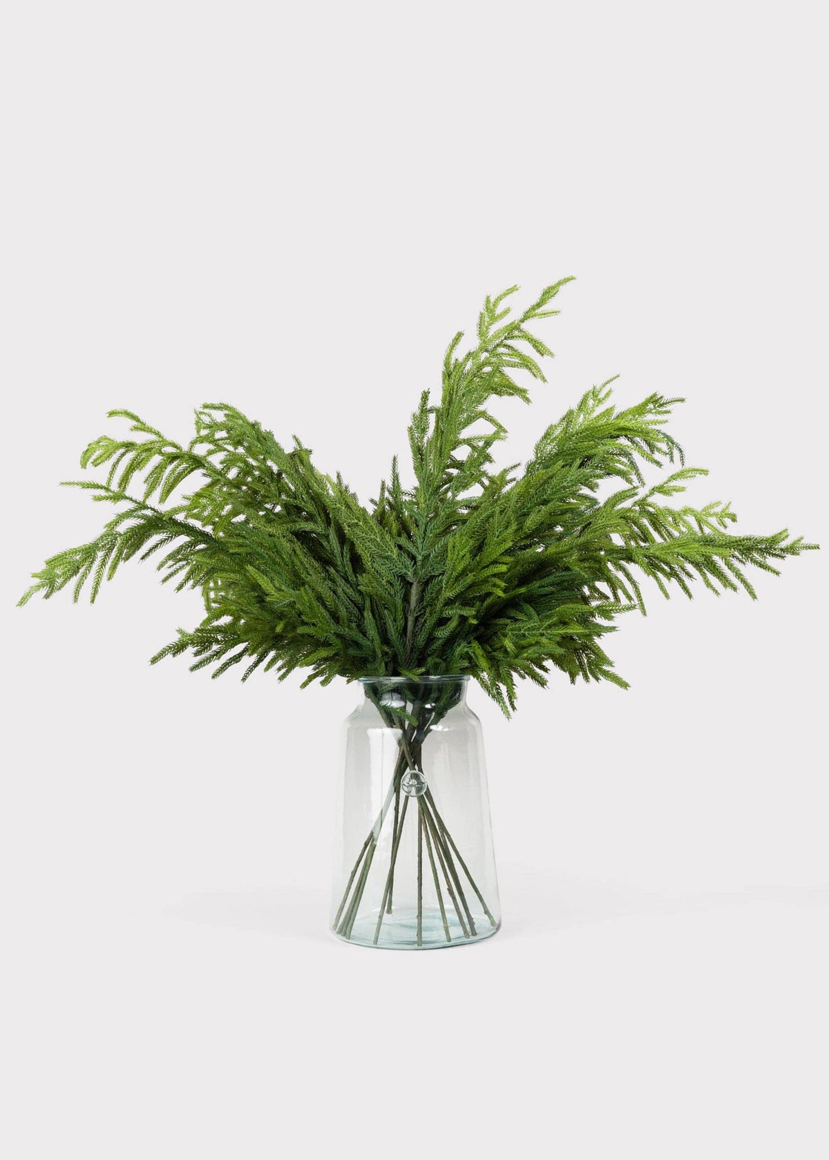 Afloral™ Real Touch Norfolk Pine Branch