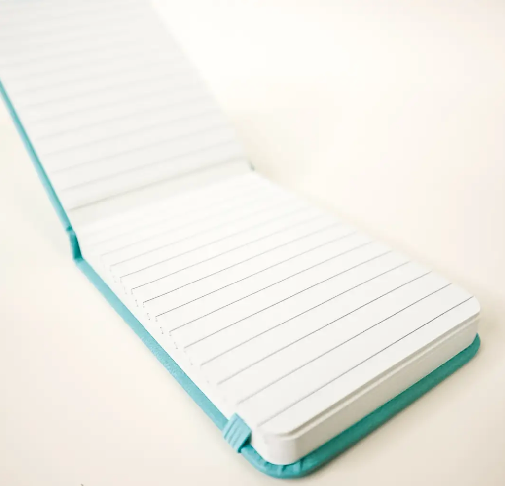 Sh*t I Don't Want to Forget - Pocket Journal