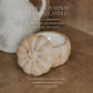 Pumpkin Spice Soy Candle