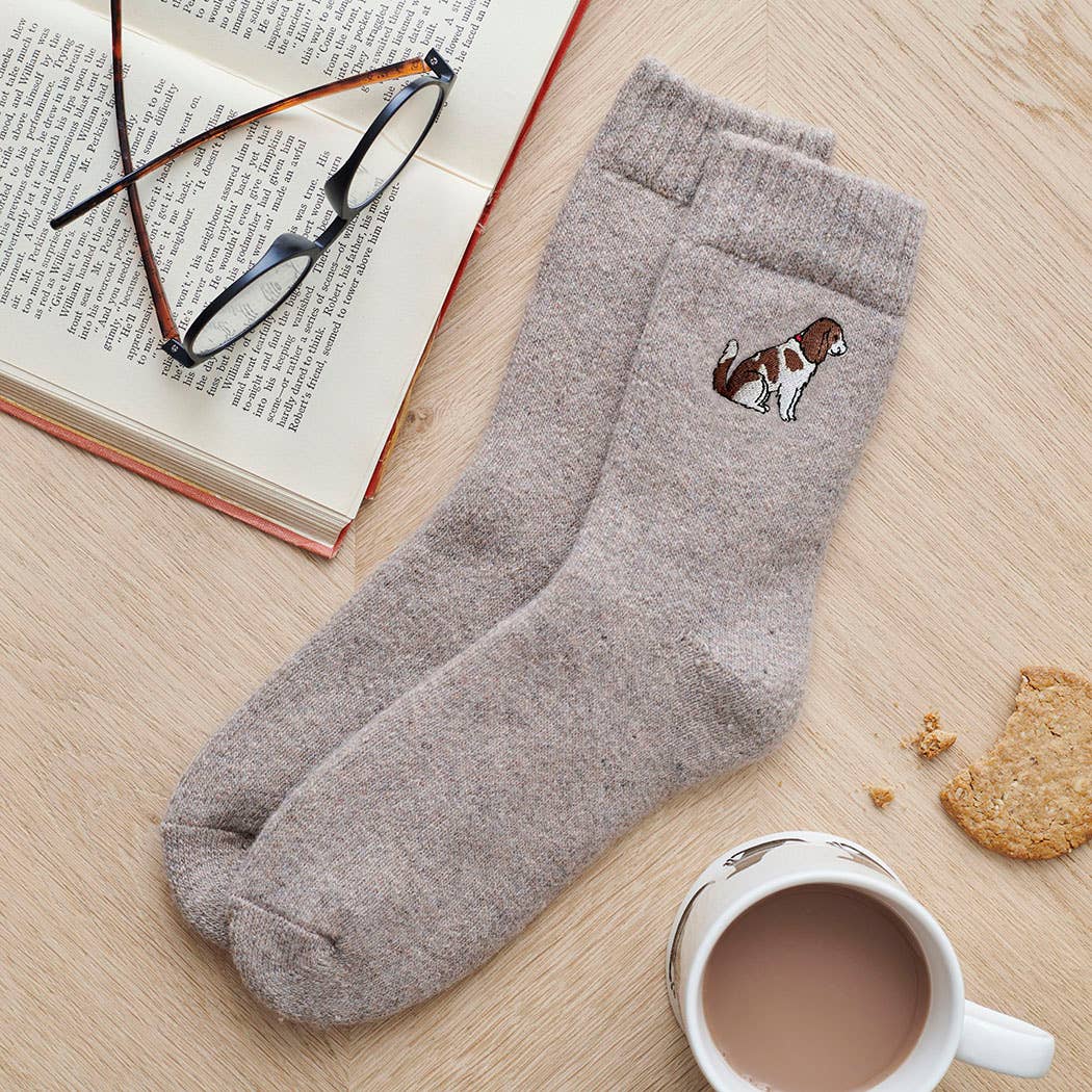 Dog Walking Socks