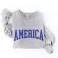 America Graphic Sweatshirt