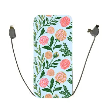 Portable Phone Charging Banks