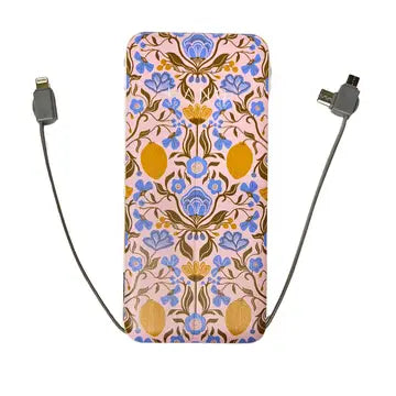 Portable Phone Charging Banks