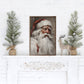 Santa Portrait In White