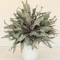 Botanica Stems