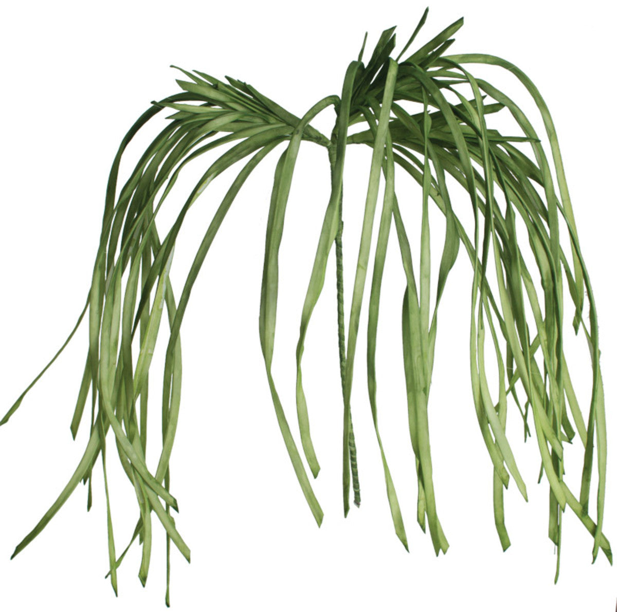 Botanica Stems