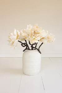 Botanica Stems