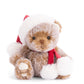 Cute Tomtenisse Bear