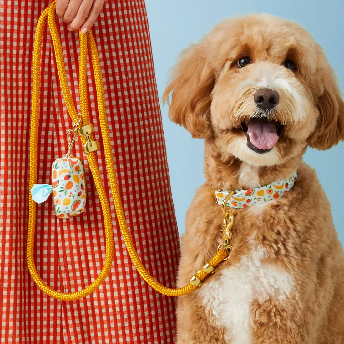 The Foggy Dog Fruit Salad Collar
